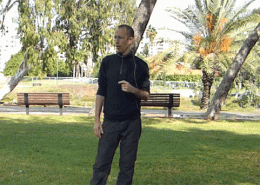 טאי צ'י שנגונג, טאי צ'י צ'ואן, וטאי צ'י צ'י קונג