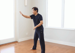 HEAVEN NATURE GONG with Master Junfeng Li,