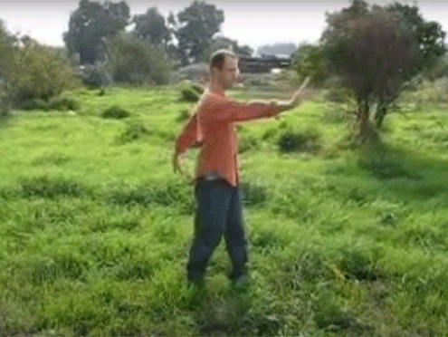 שער העננים ונקודת הכליה בצ'י קונג הריפוי המואר